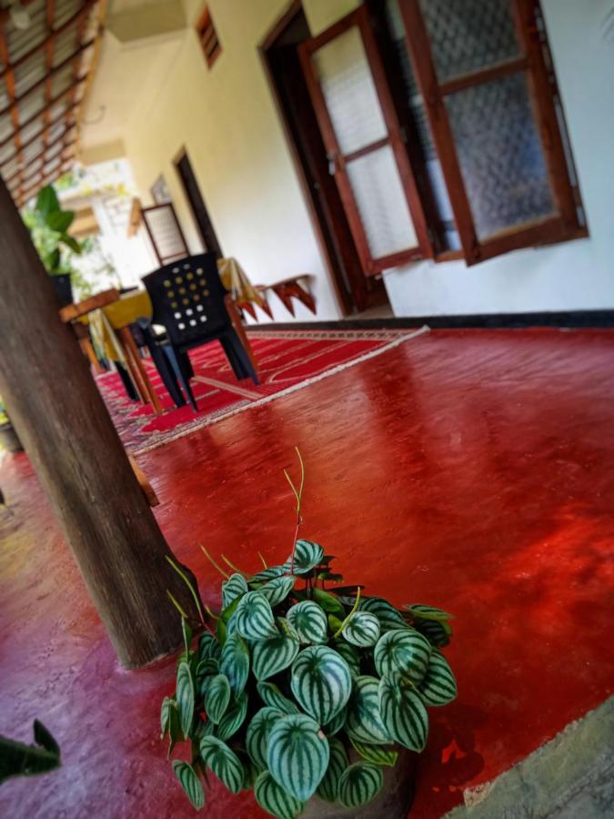 New Rose Villa Bandarawela Ella Bagian luar foto
