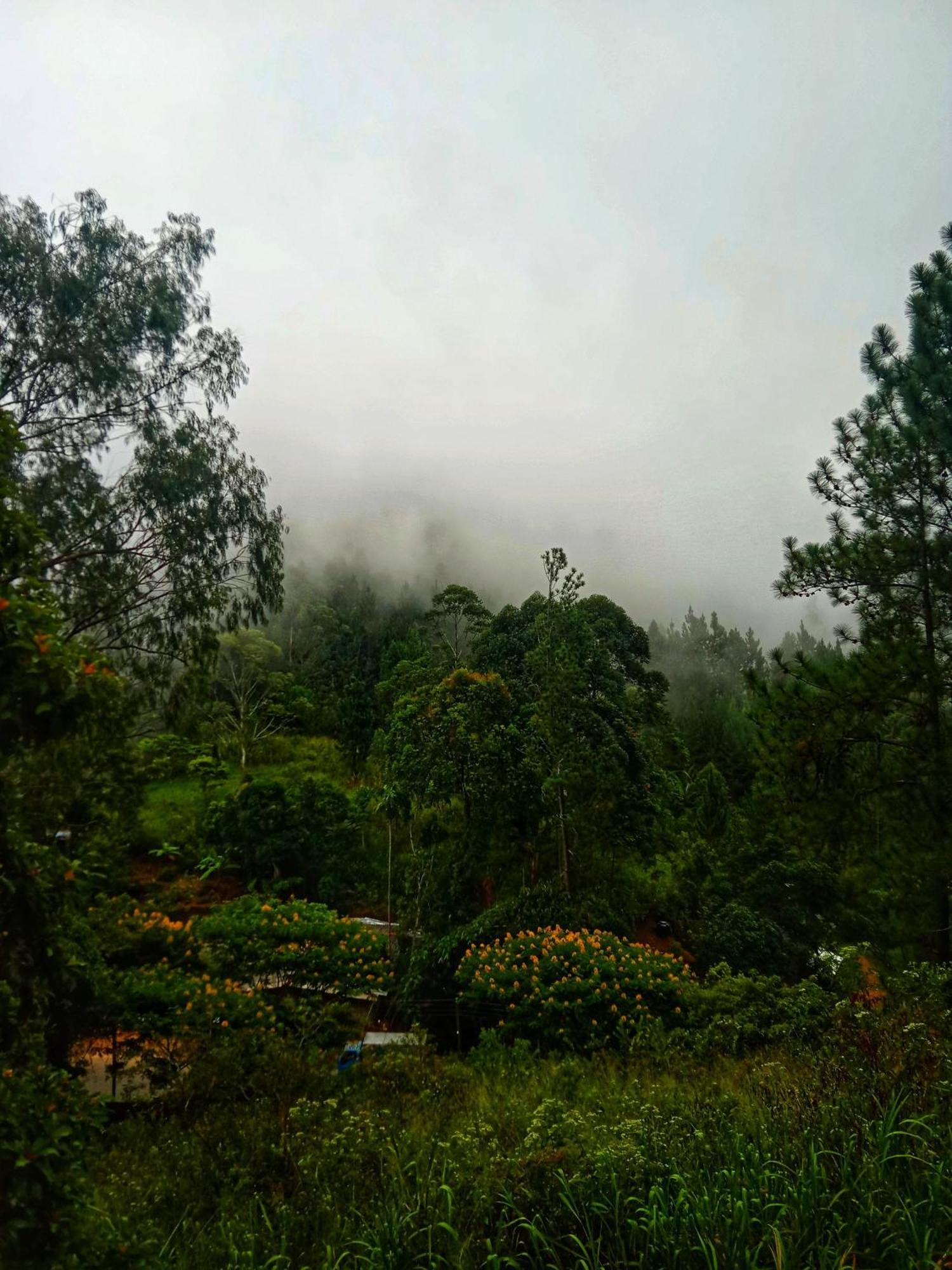 New Rose Villa Bandarawela Ella Bagian luar foto