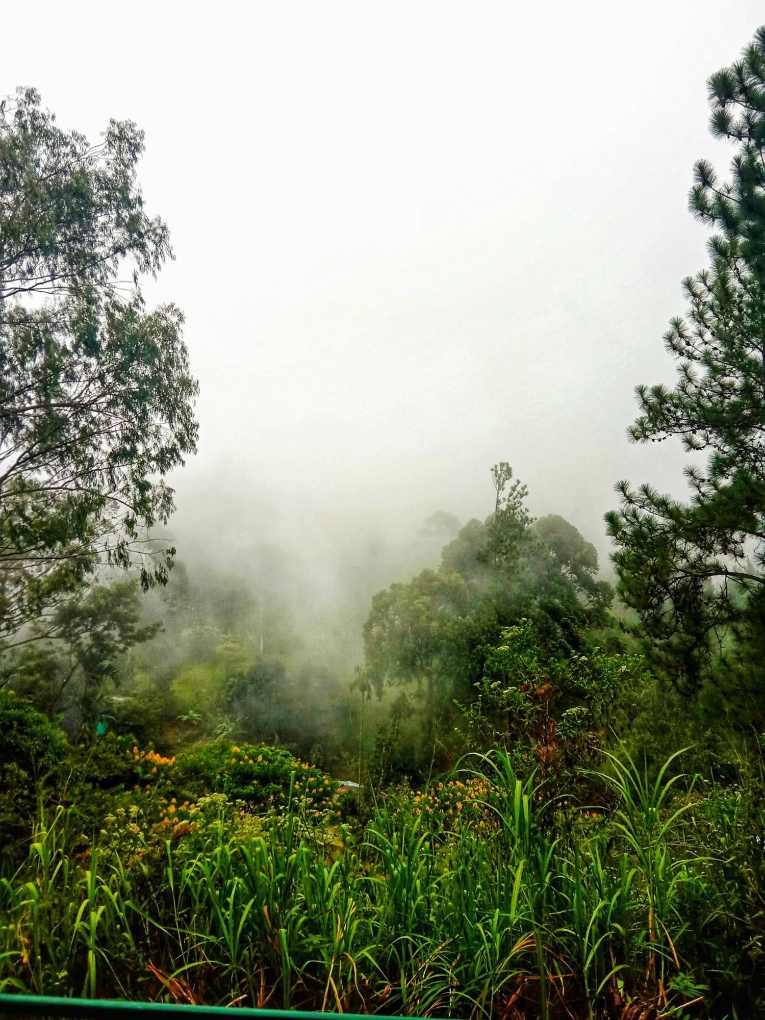 New Rose Villa Bandarawela Ella Bagian luar foto