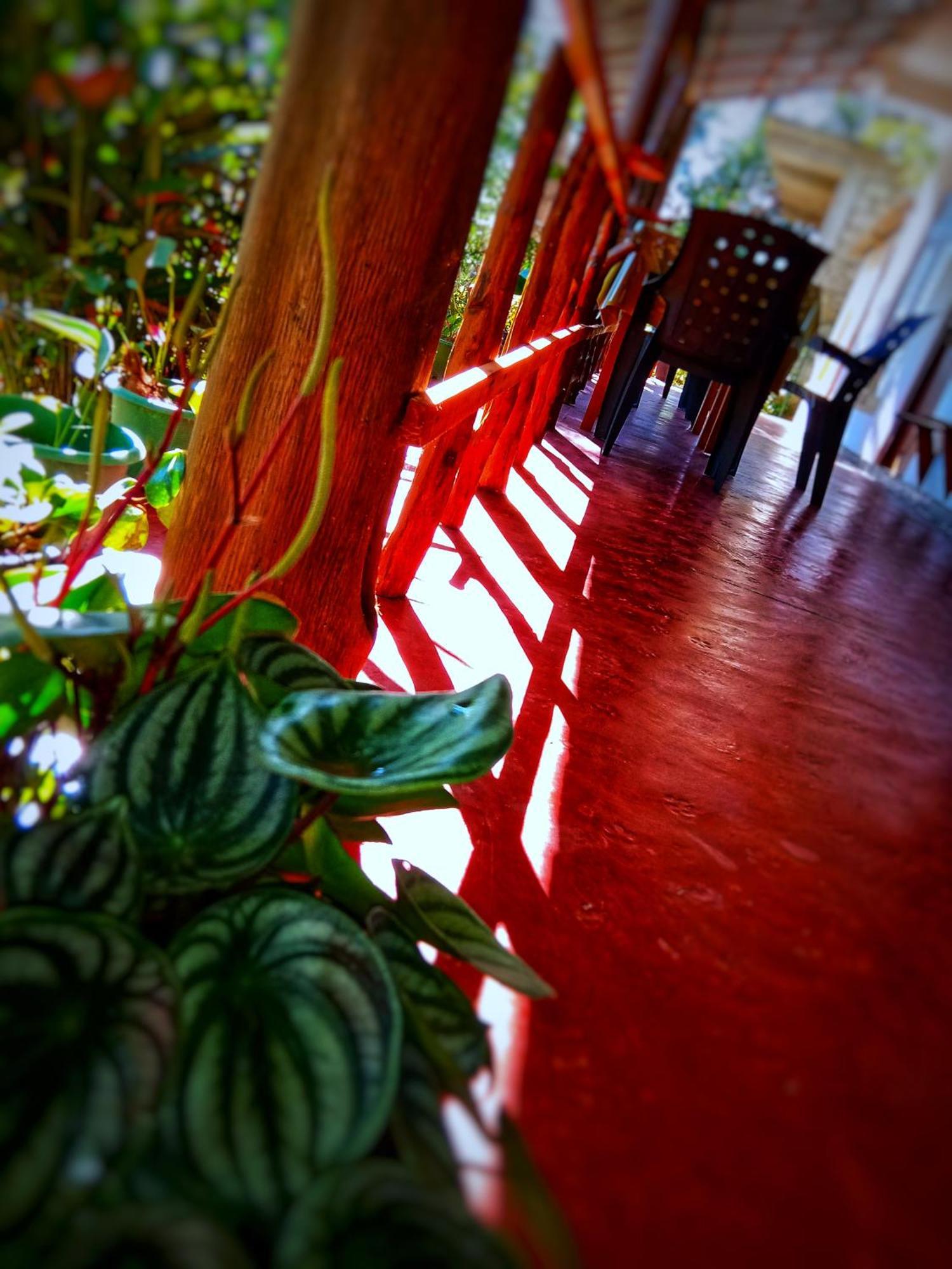 New Rose Villa Bandarawela Ella Bagian luar foto