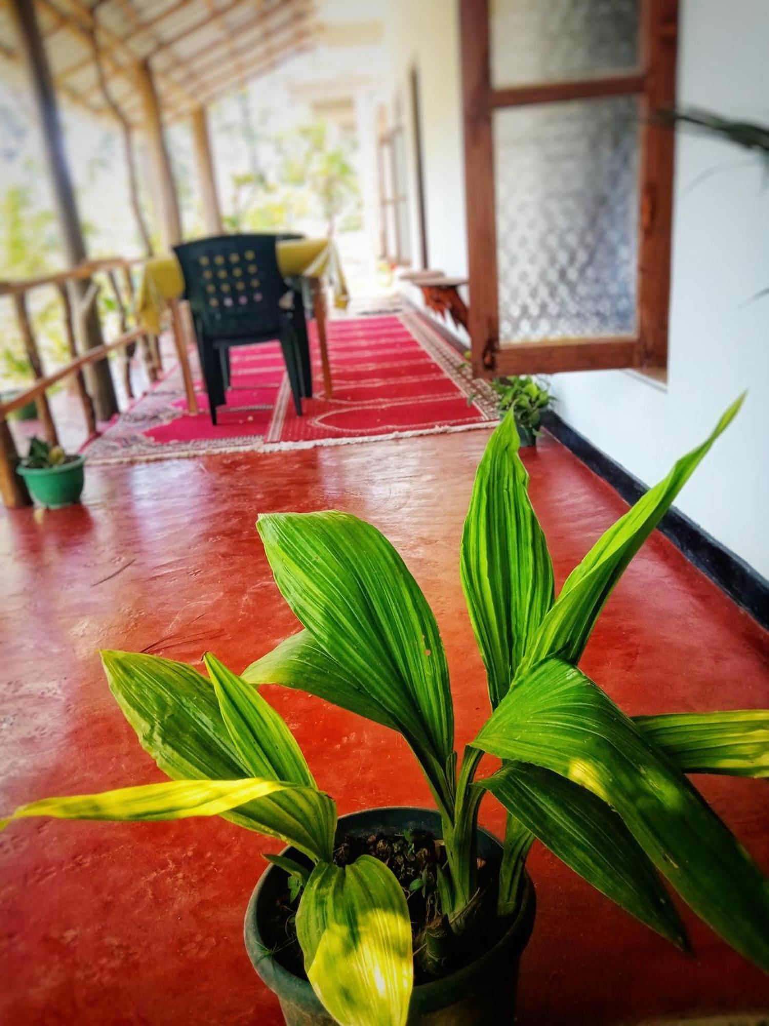 New Rose Villa Bandarawela Ella Bagian luar foto