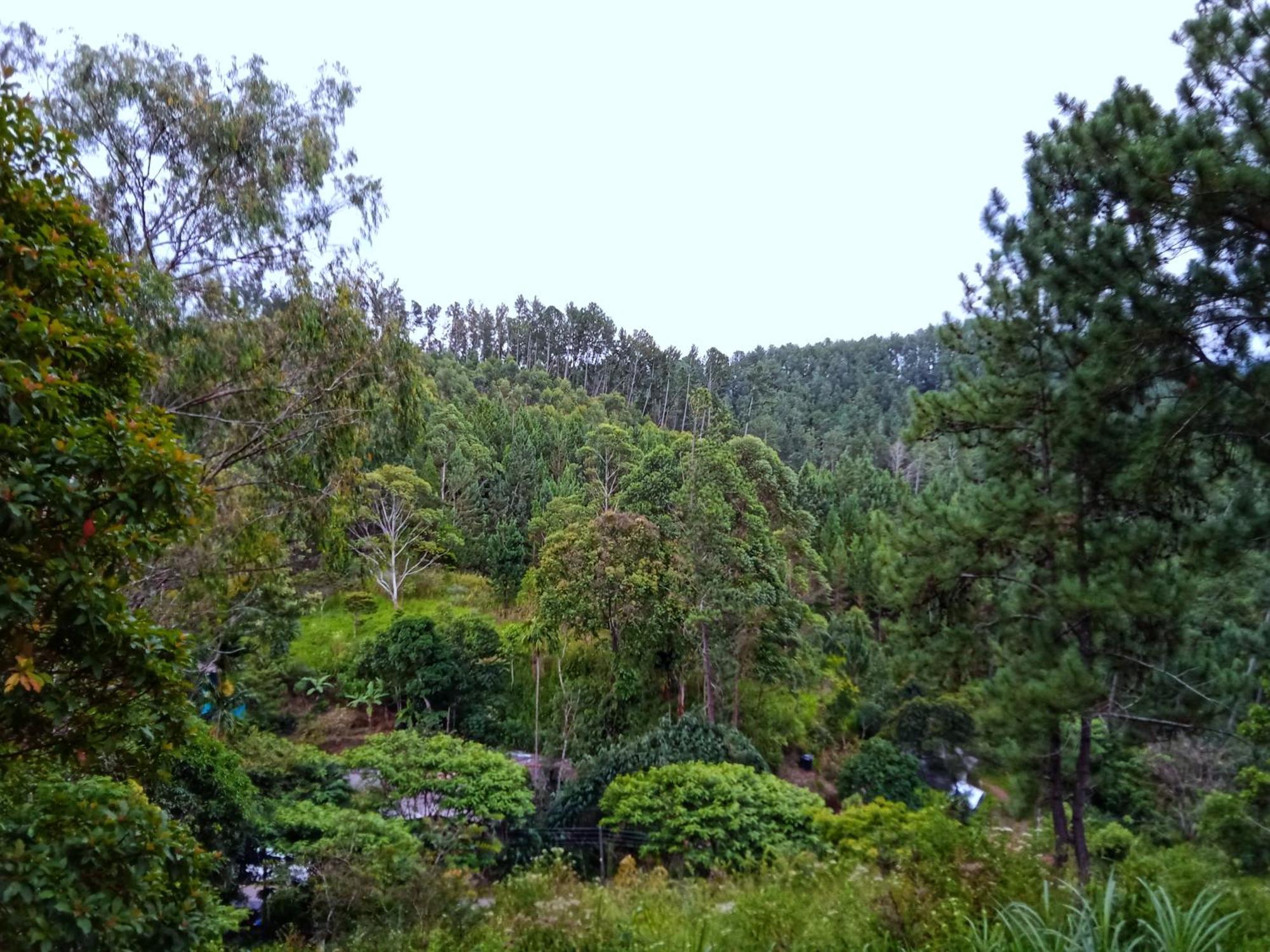 New Rose Villa Bandarawela Ella Bagian luar foto
