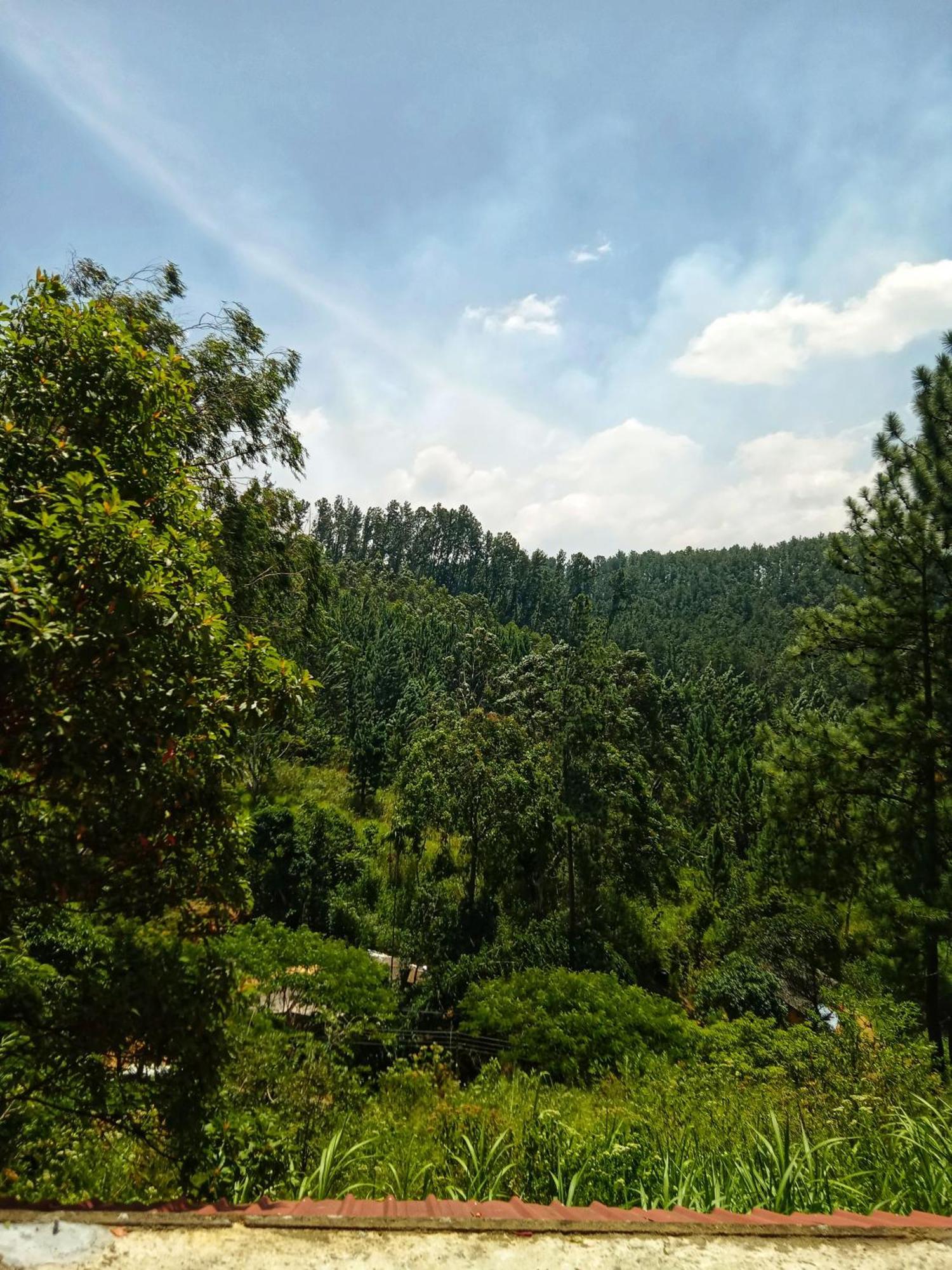 New Rose Villa Bandarawela Ella Bagian luar foto